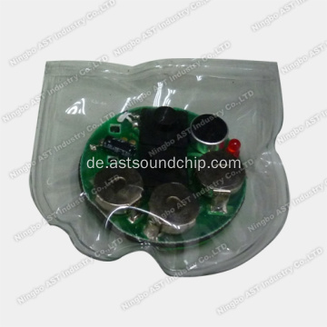 Wasserdichtes beschreibbares Soundmodul, Soundmodul